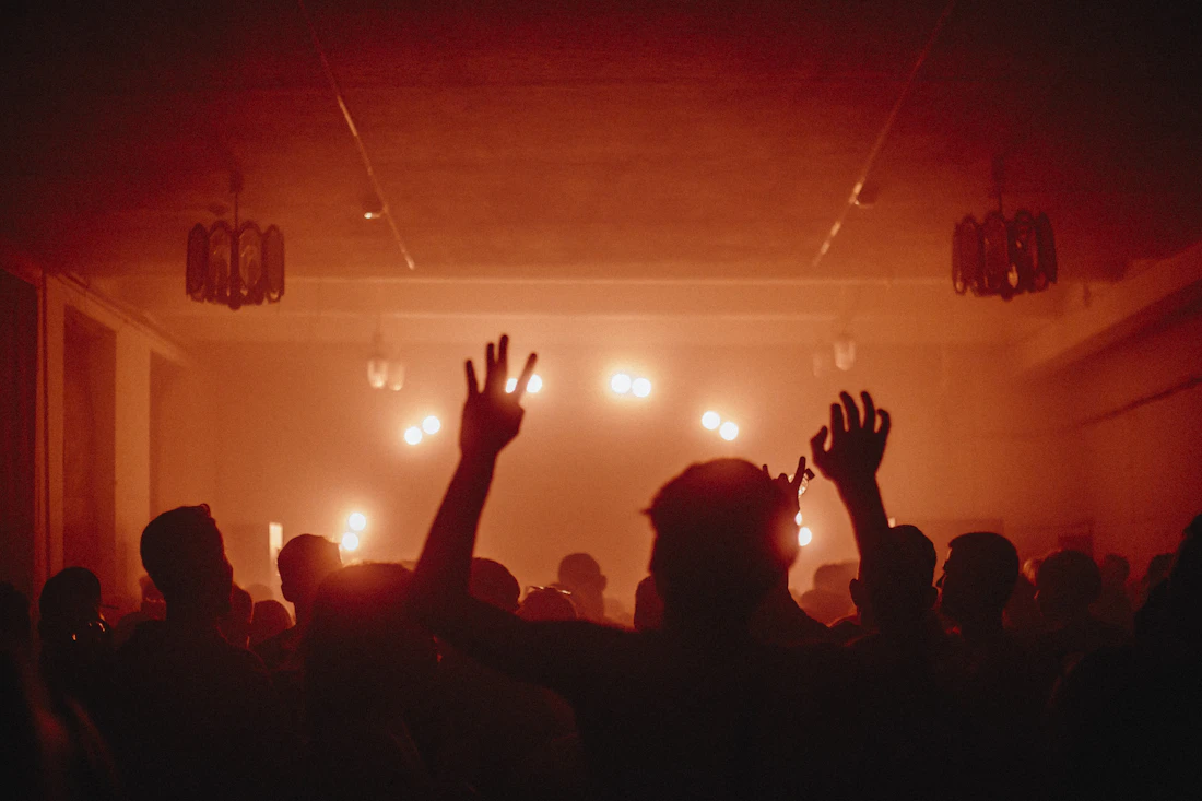 Silhouettes of a crowd with hands raised in a smoke-filled room