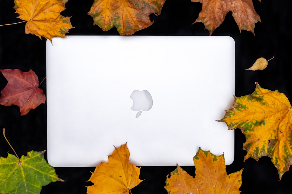 white MacBook