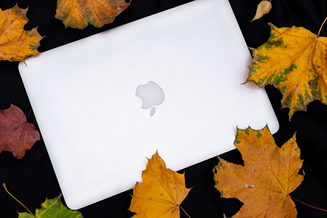 MacBook beside dried leaves