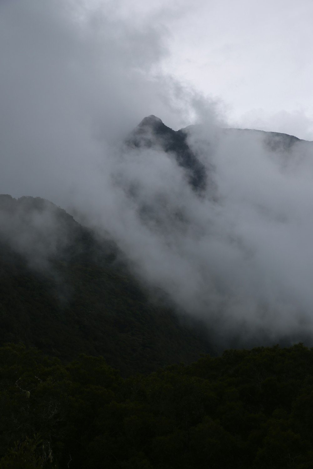 mountains covered with clouds