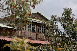 Traditional house facade in Zona Sul surrounded by tropical plants.