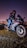A powerful motorcycle revving on a city street, embodying freedom and adventure.