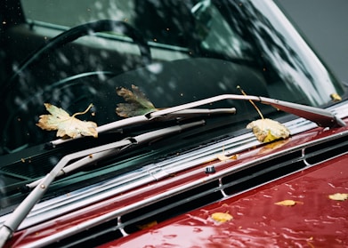 leaves on vehicle
