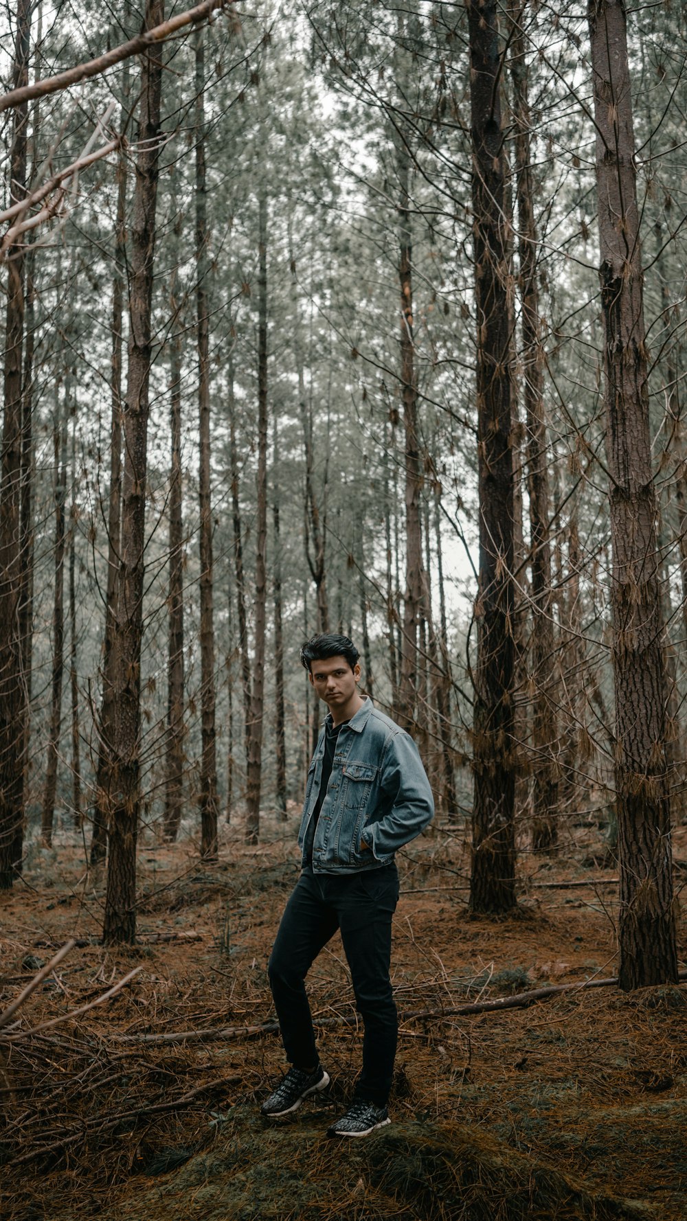 uomo in piedi tra gli alberi durante il giorno