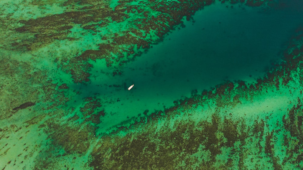 an aerial view of a body of water