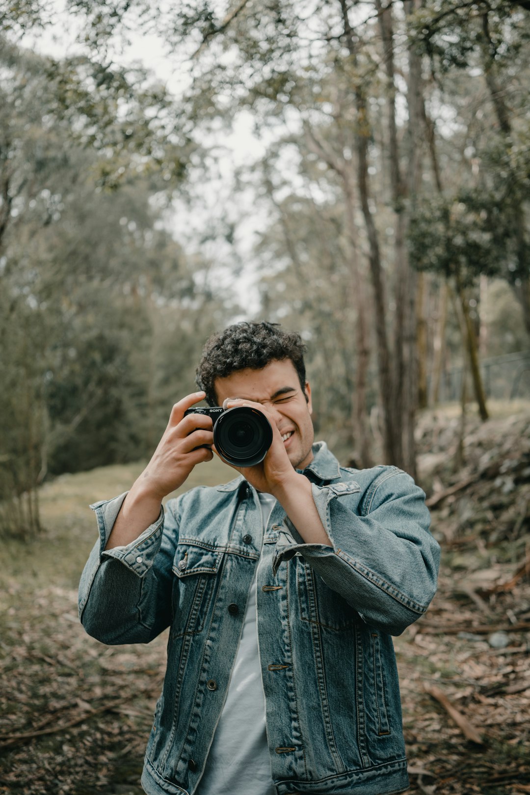 photo of Healesville VIC Forest near Cathedral Range State Park