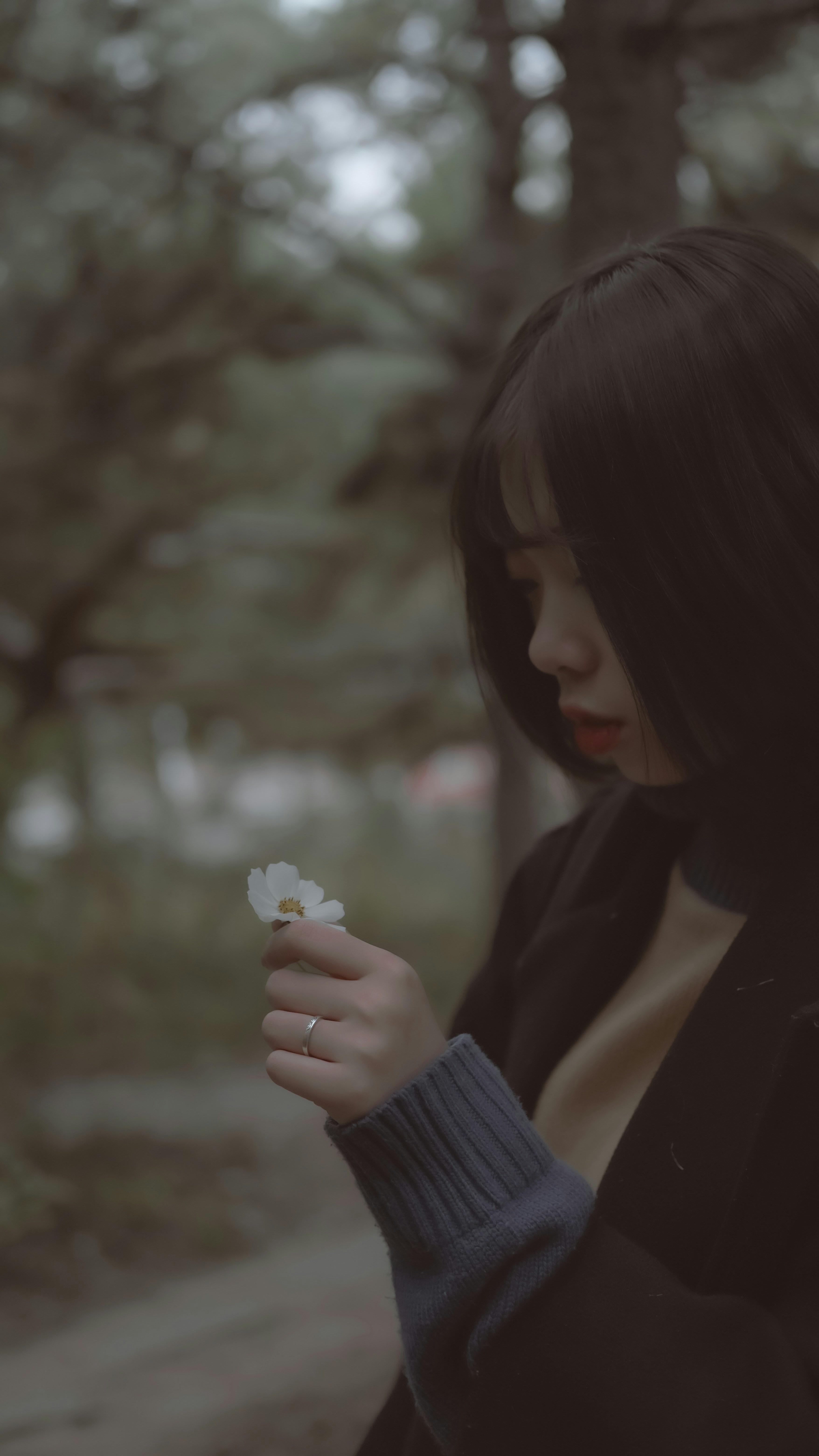 Photo by aserusainhuu