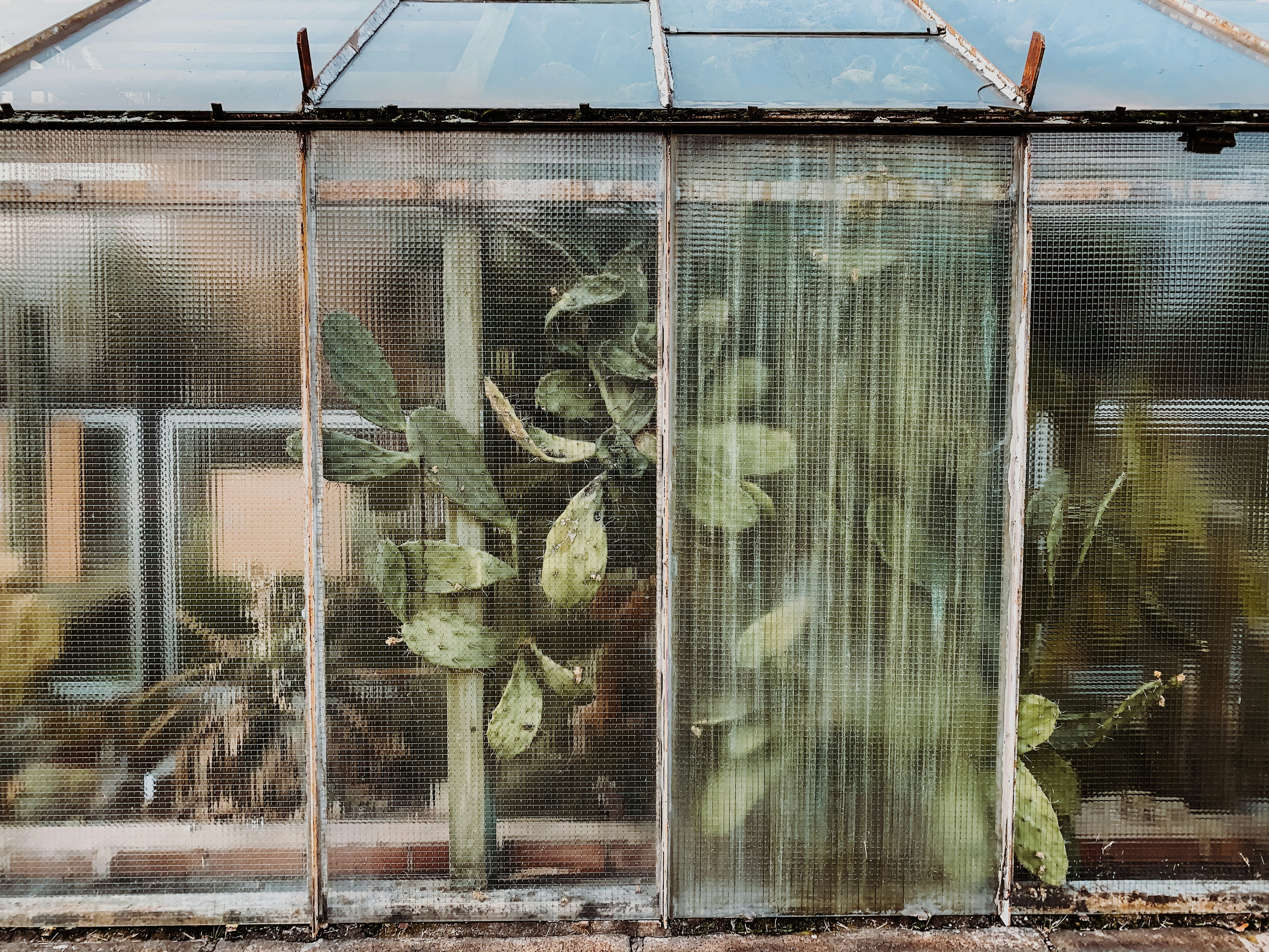 Photo by marinareich