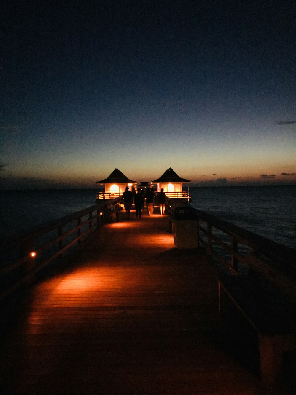 brown wooden beach dock