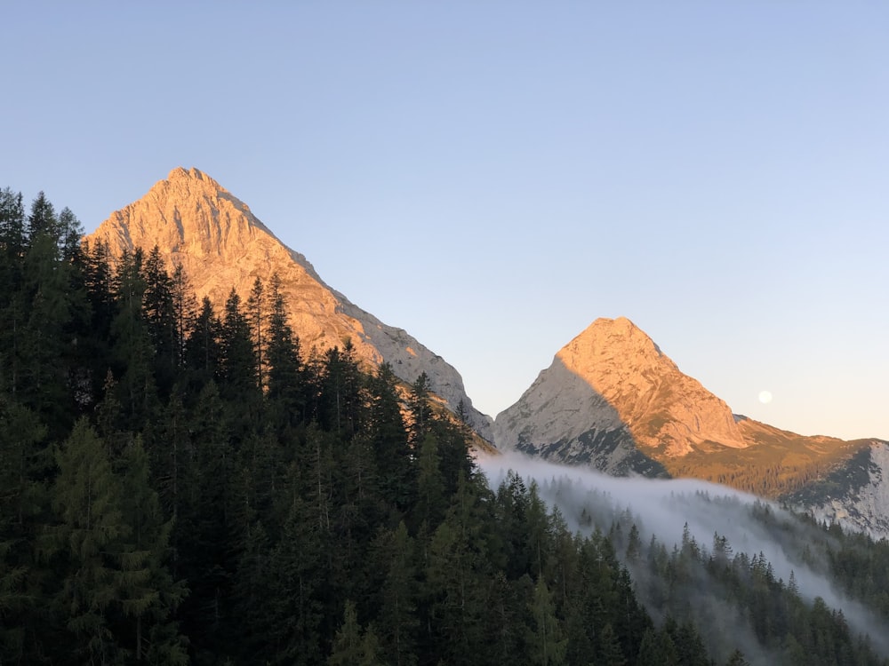 Grüne Bäume und Bergkulisse