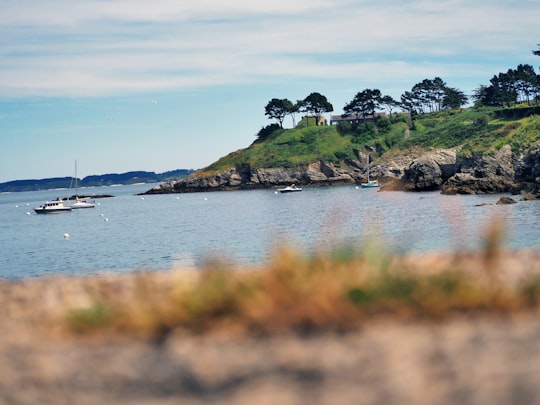 green-leafed trees near body of water in Bretagne France