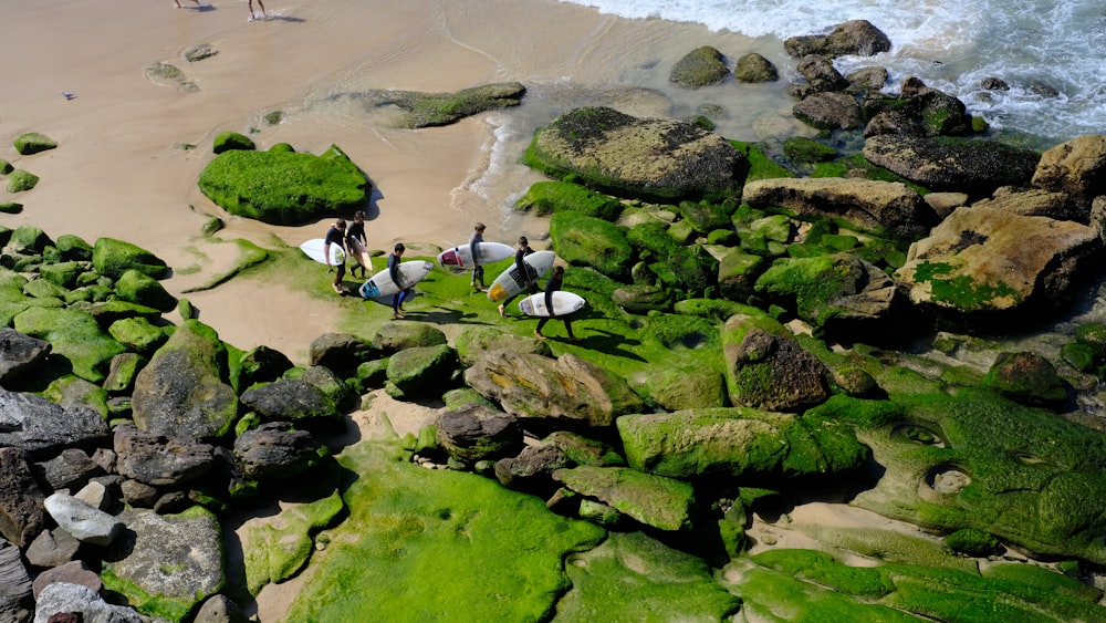 people walking on seashore aerial views