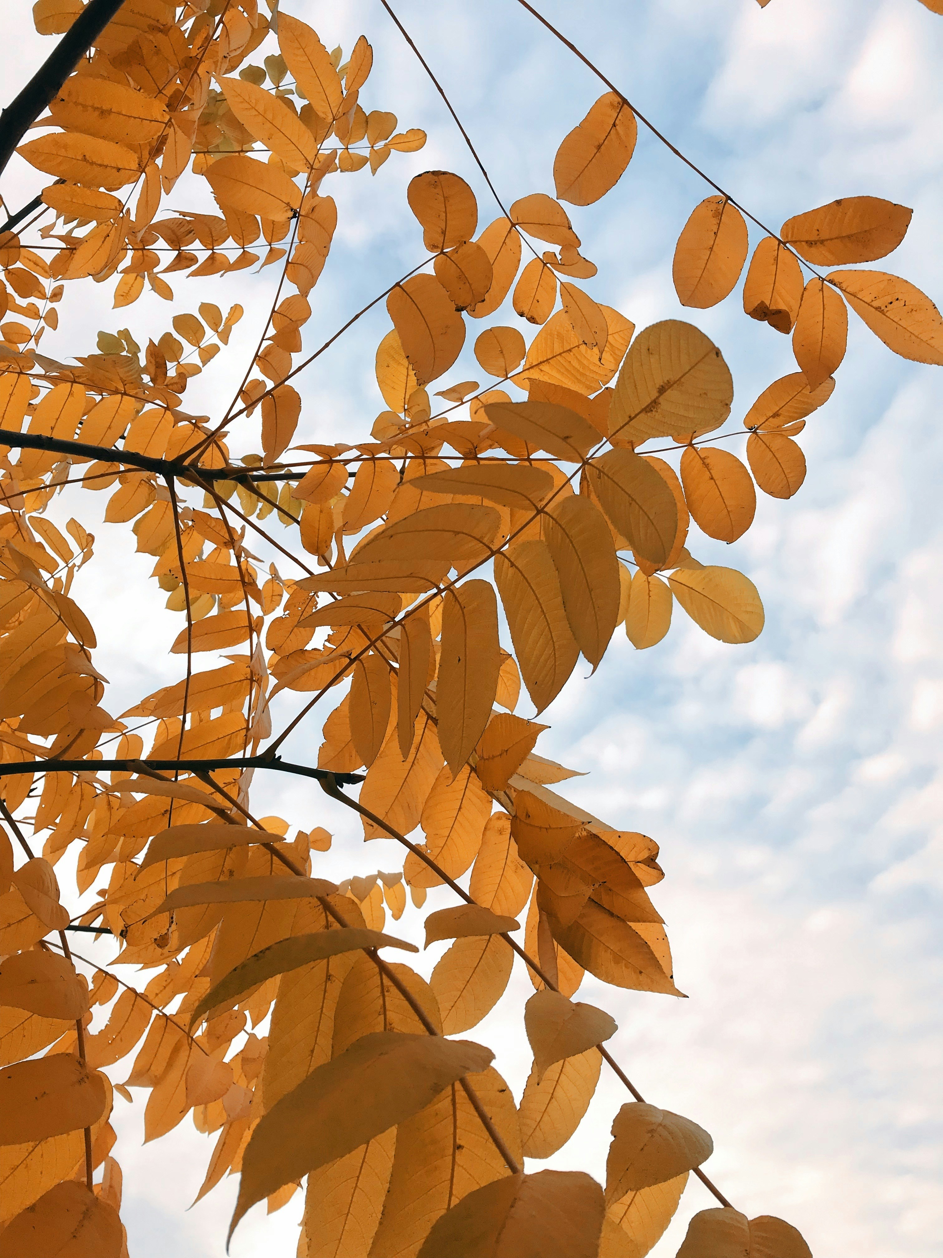 Photo by lana_zorina_ph