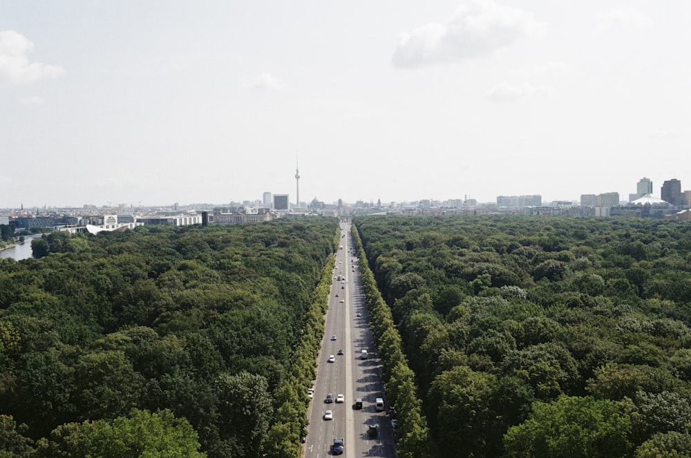 photo of asphalt road surrounded by trees