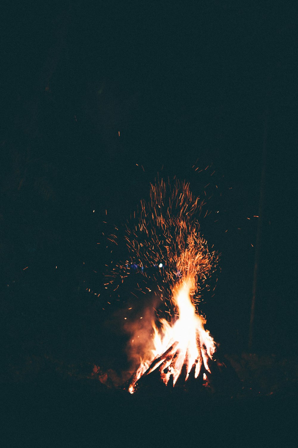 bonfire photo during nighttime