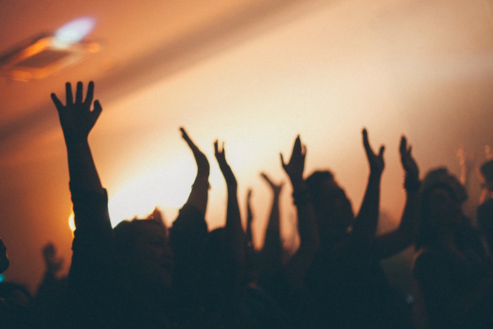 people raising hands on white room