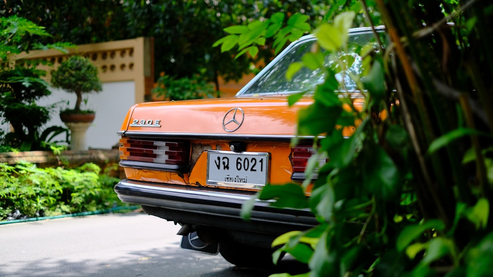 orange Mercedes-Benz car beside green plants