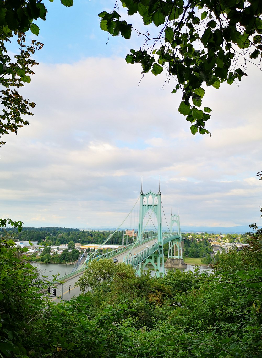 teal bridge near trees