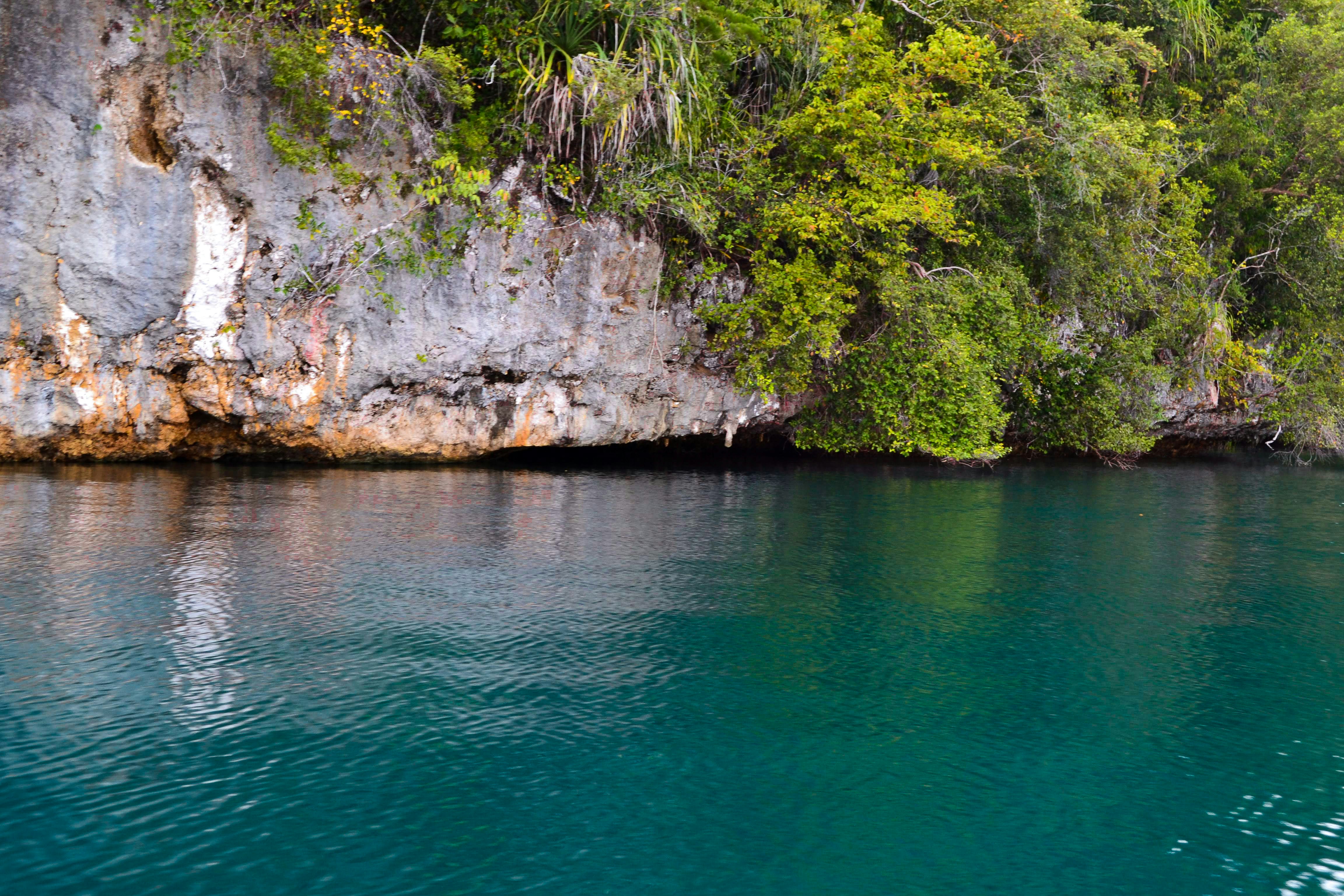 Green-ish water at Raja Ampat, West Papua.