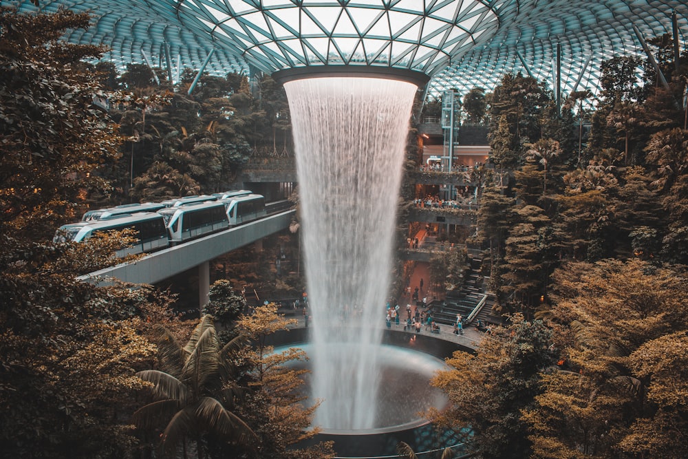 people inside Changi Airport, Singapore