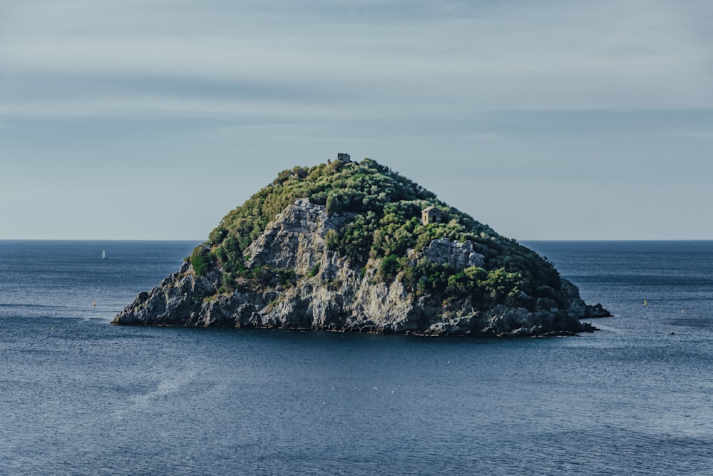 gray and green rocky island