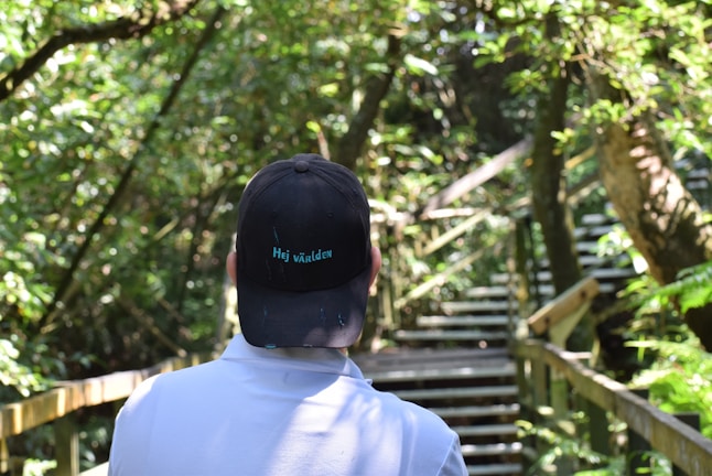 A peaceful forest trail with sunlight filtering through, showcasing a 4110 apparel co cap resting on a log.