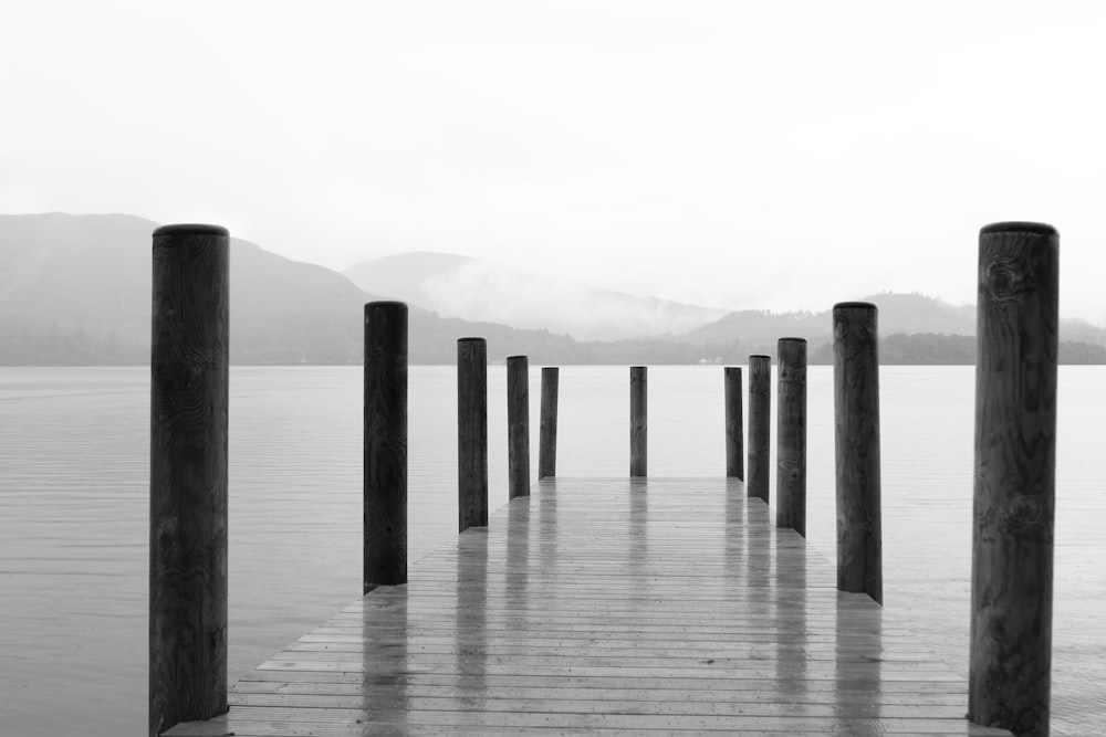 wooden dock during day