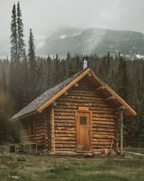 brown wooden cabin near trees during day