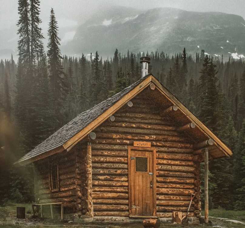 brown wooden cabin near trees during day