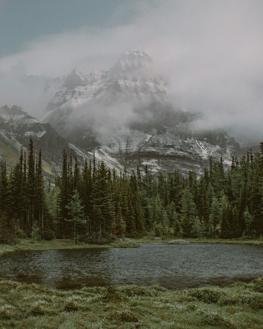 snow covered mountain near trees