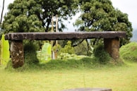 Wide shot of a rural outdoor space featuring handcrafted stone benches and native flora.
