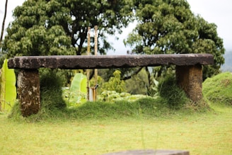 Wide shot of a rural outdoor space featuring handcrafted stone benches and native flora.