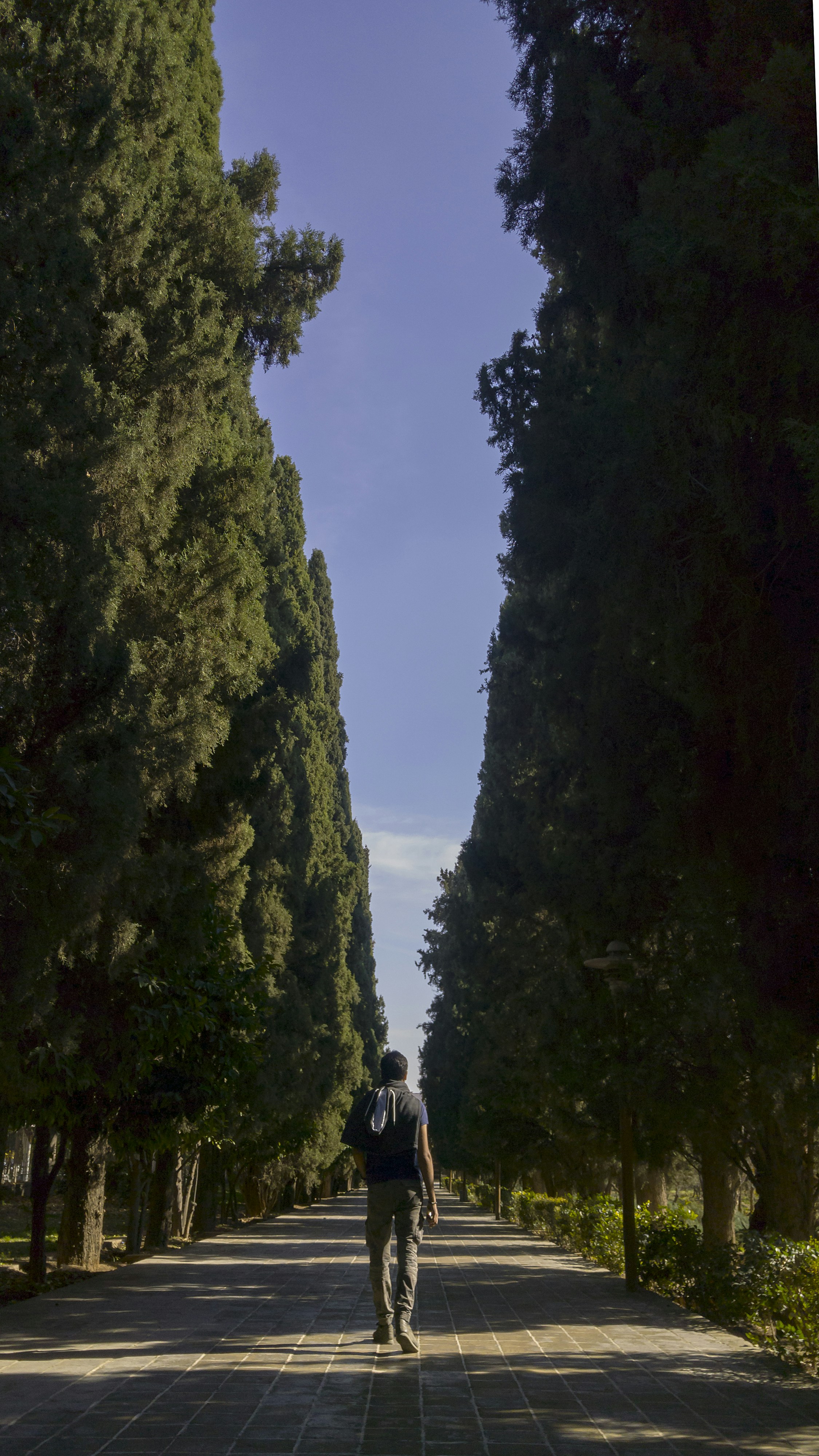 Photo by mostafa_meraji