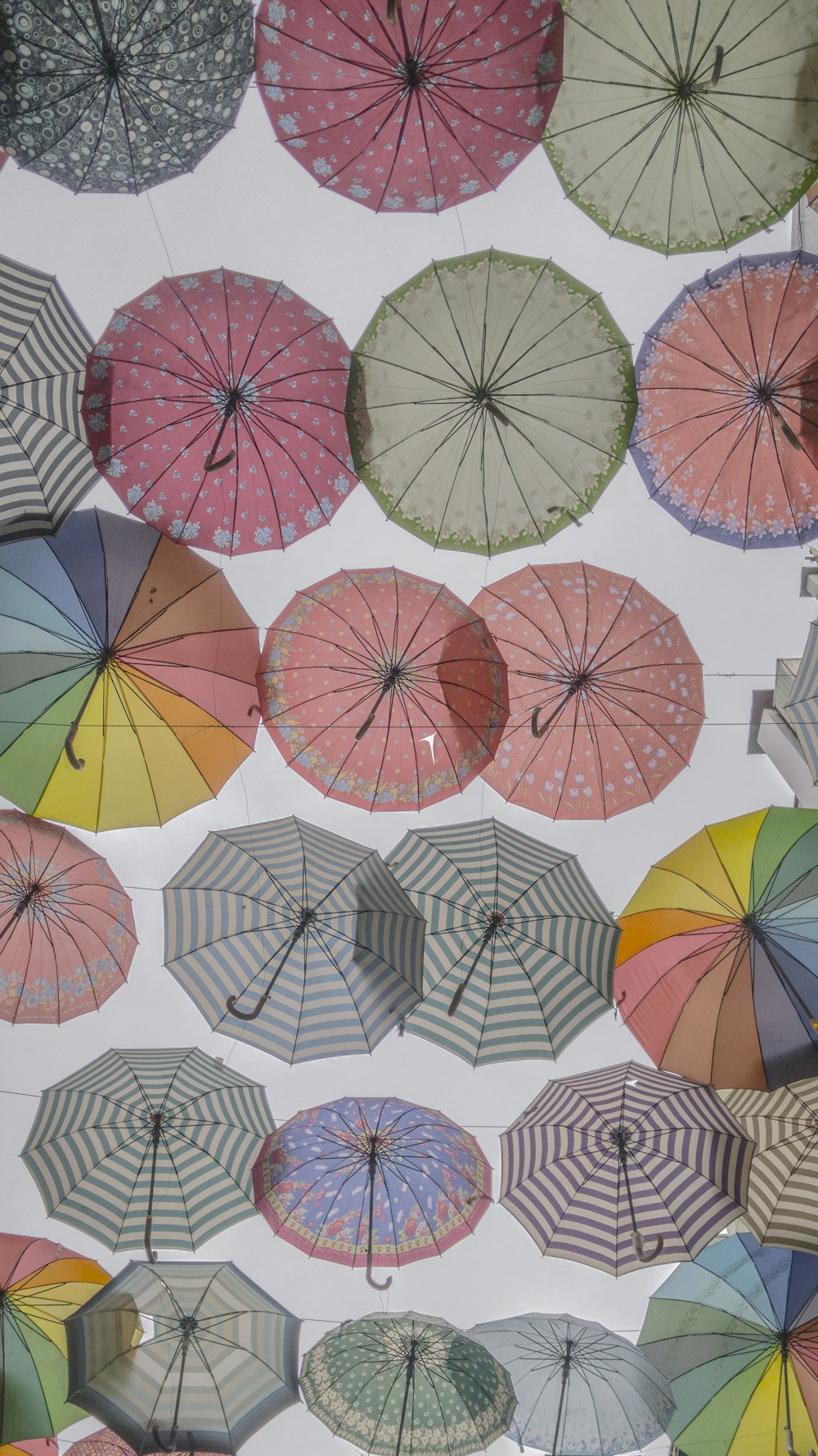 assorted-color-and-designs umbrella buntings