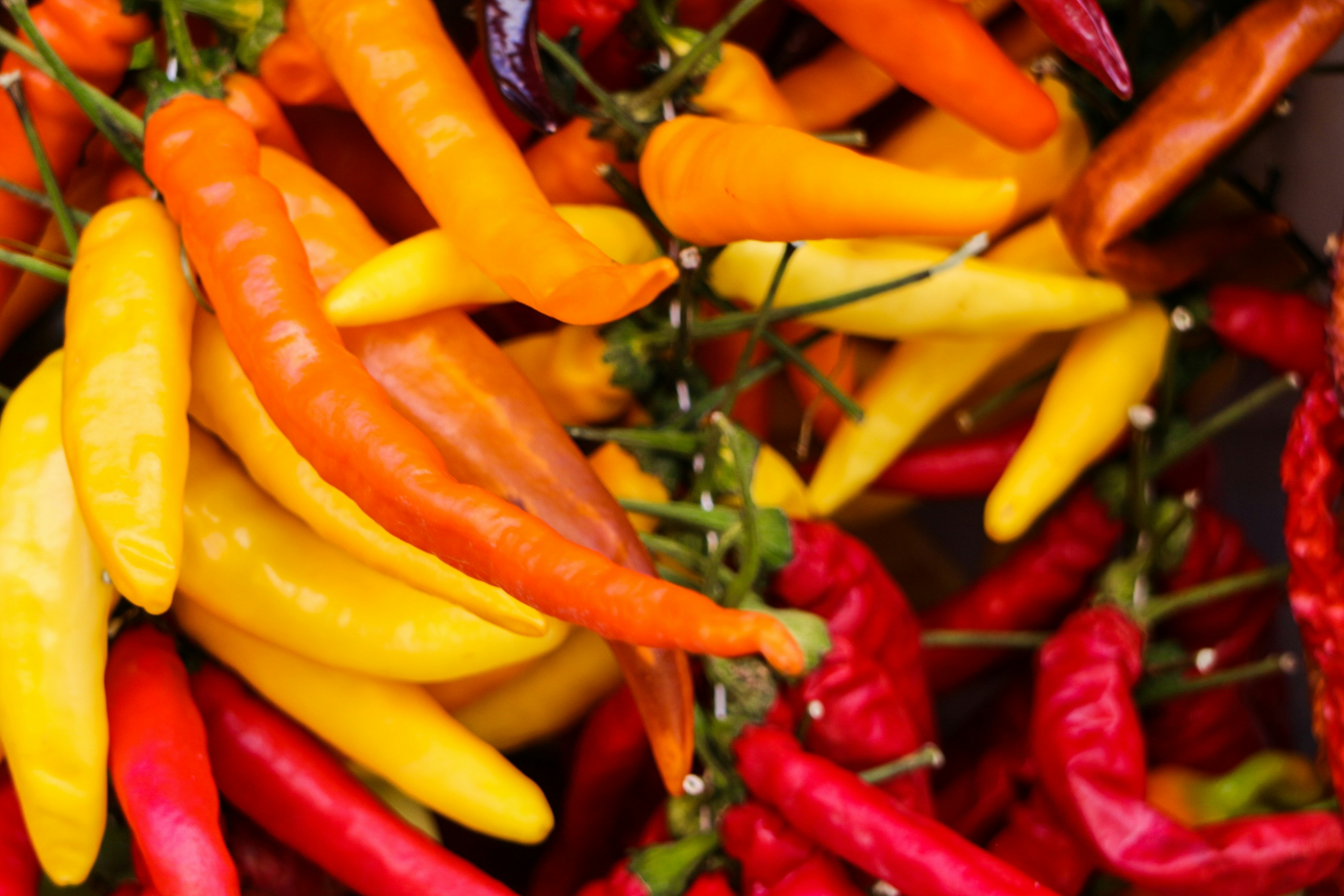 Your Brain on Hot Sauce: The Fascinating Reason Some People Love the Burn