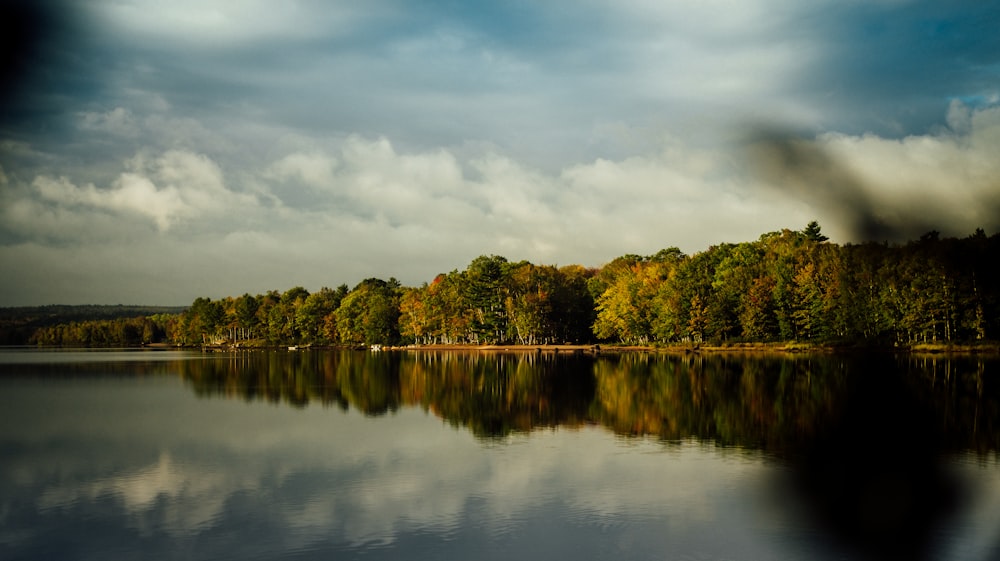 green trees beside calm body of water