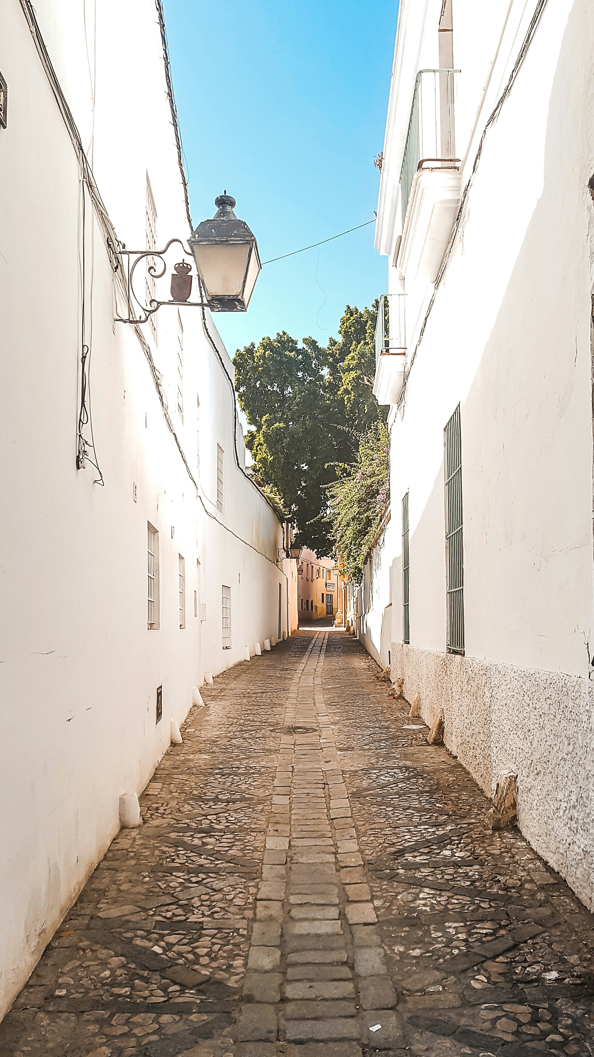 Photo by inmasantiago