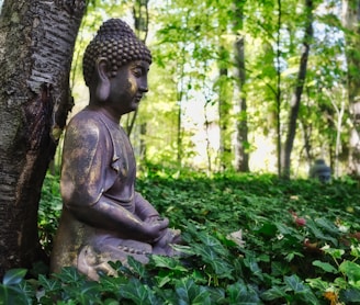 shallow focus photo of Gautama Buddha figurine