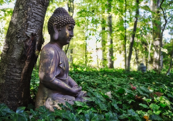 shallow focus photo of Gautama Buddha figurine