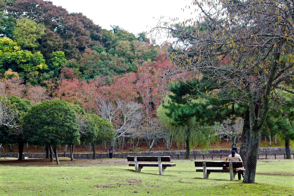 person sitting on bench