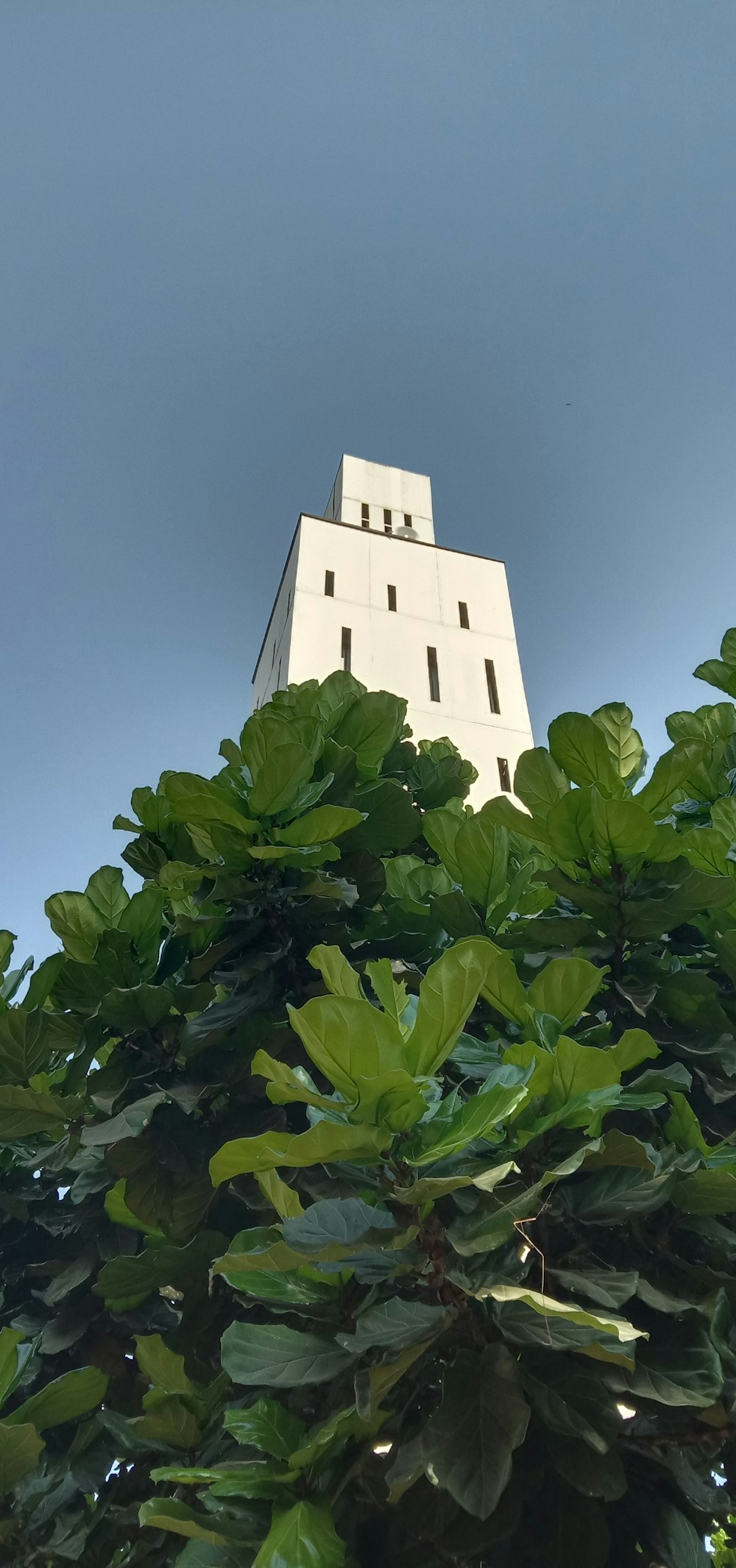 white concrete building beside green-leafed tree during daytime
