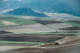 A rustic landscape showing vibrant green fields with farmers working harmoniously in the background.