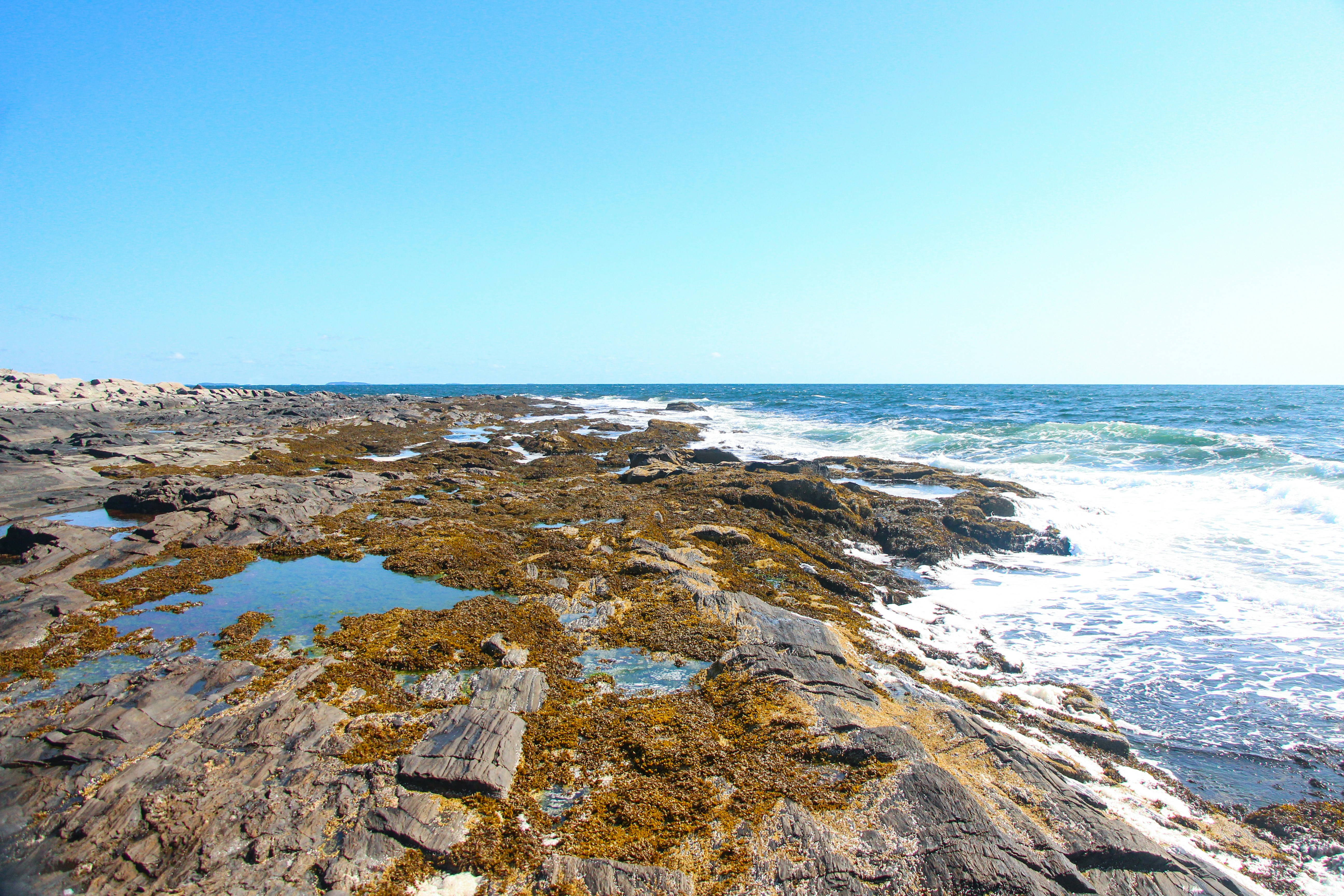 Photo by doudoune1234