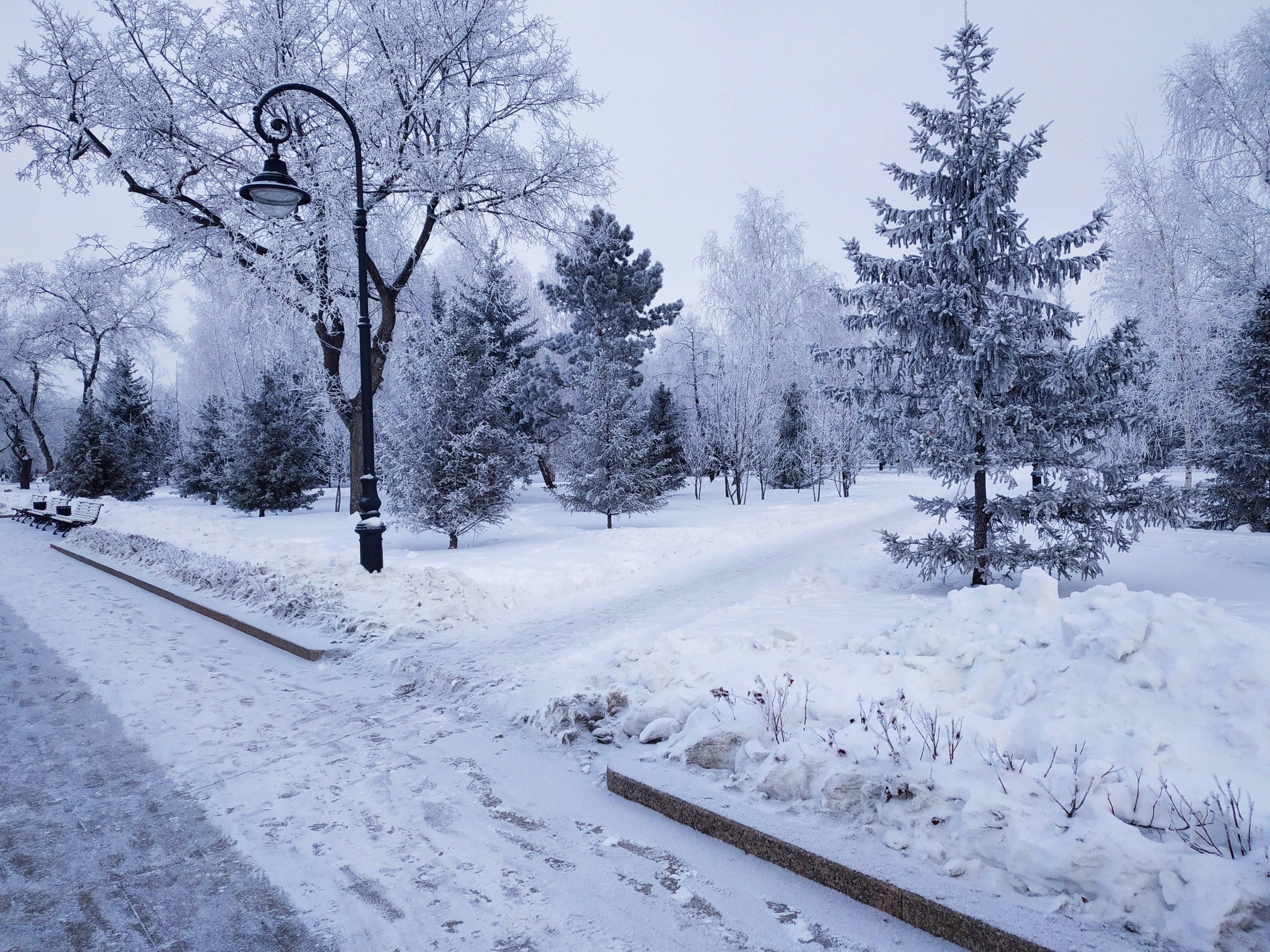 Photo by sincereness