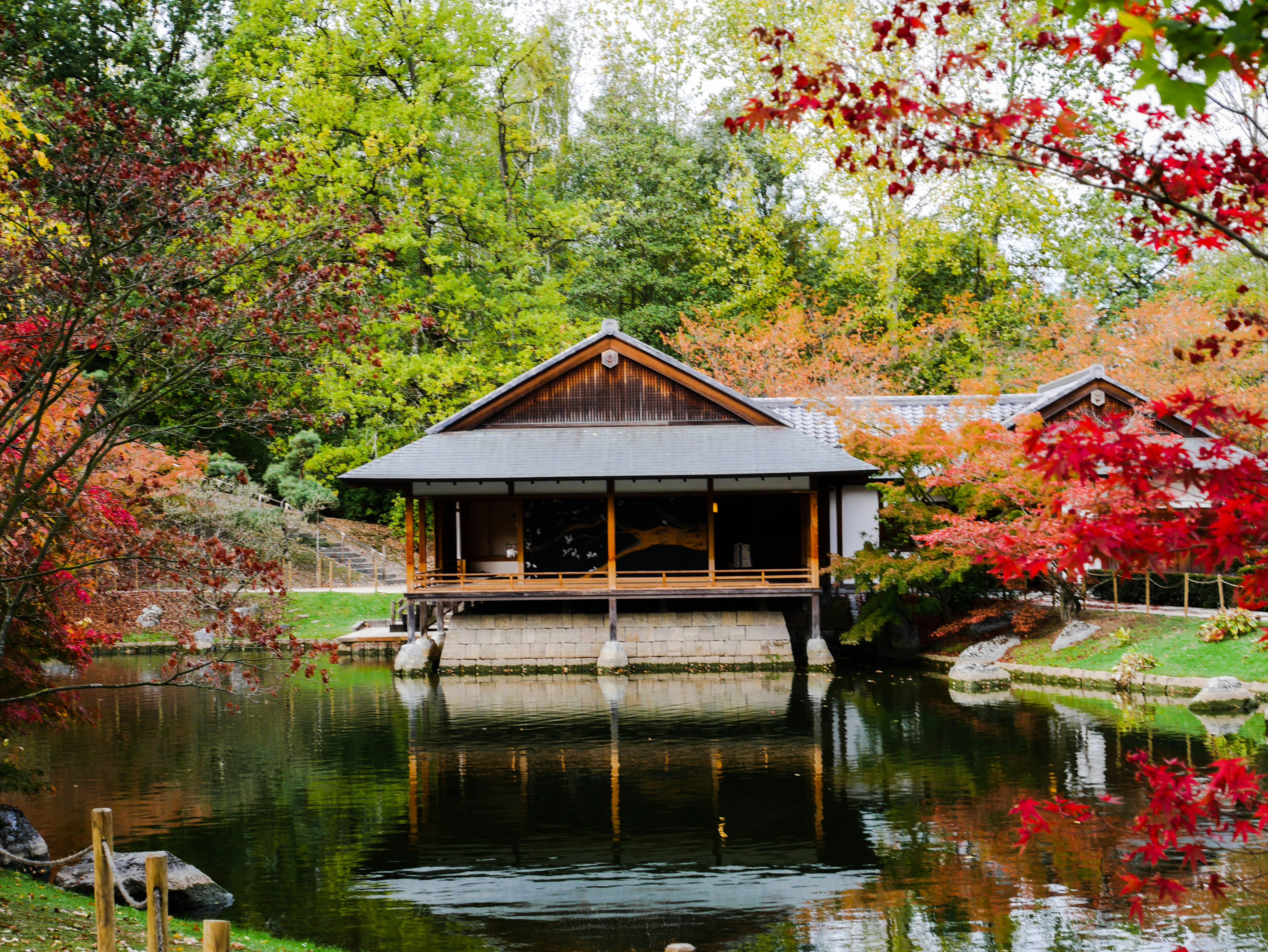 Jardin japonais paisible