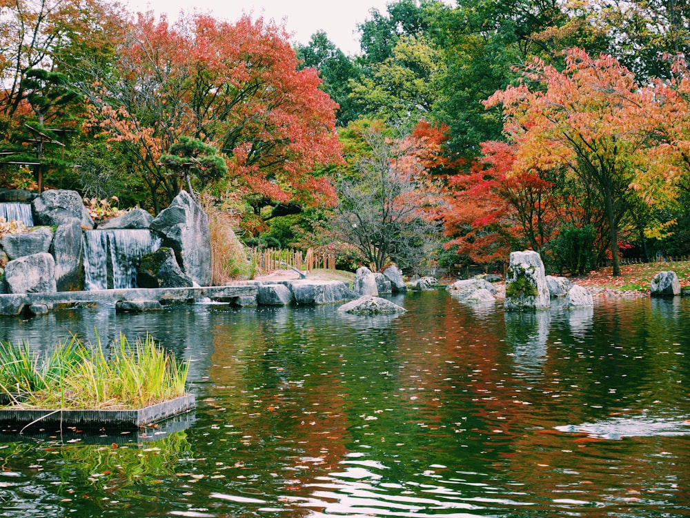 body of water by trees during daytime