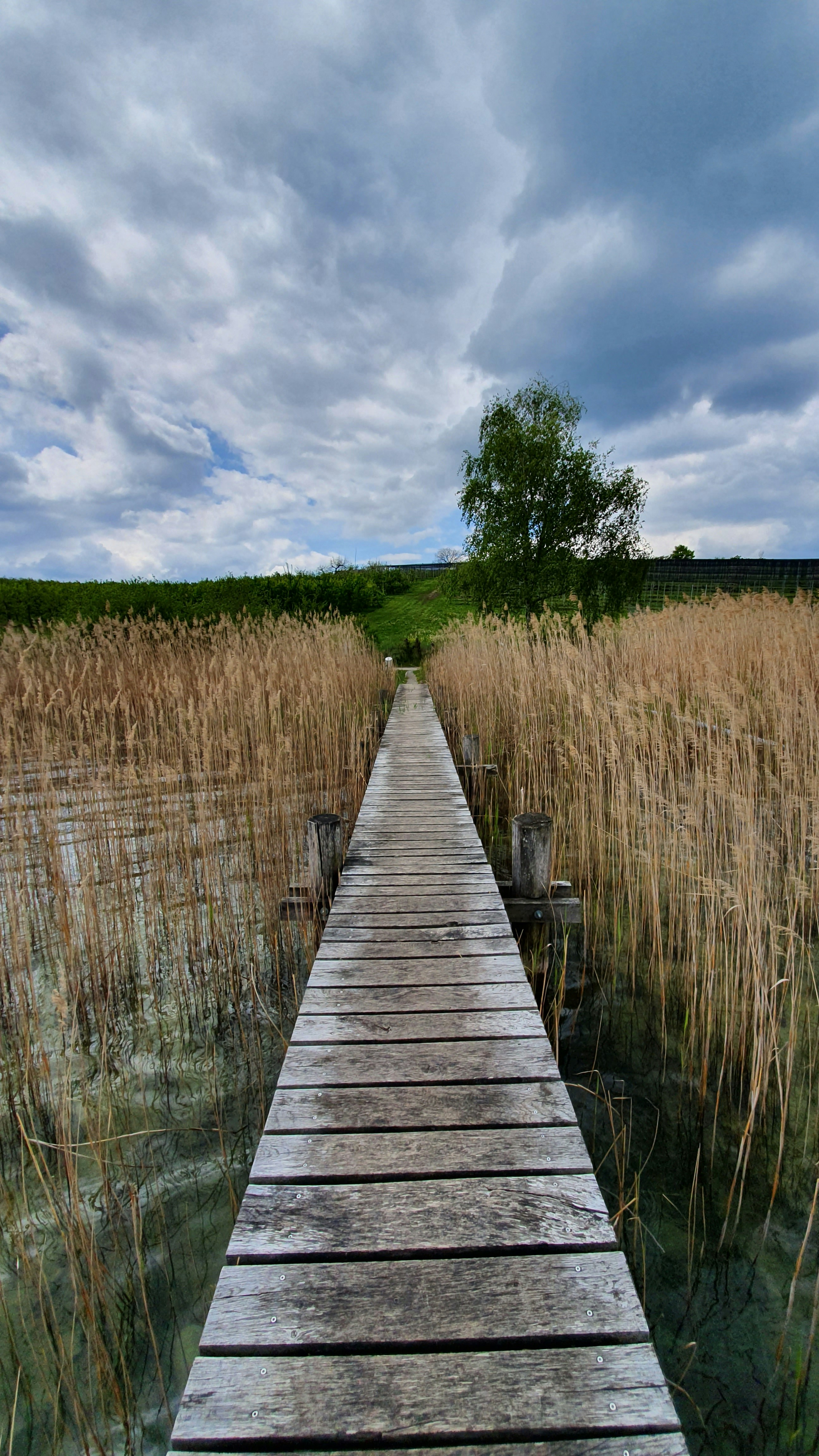 gray wooden bridge during daytime