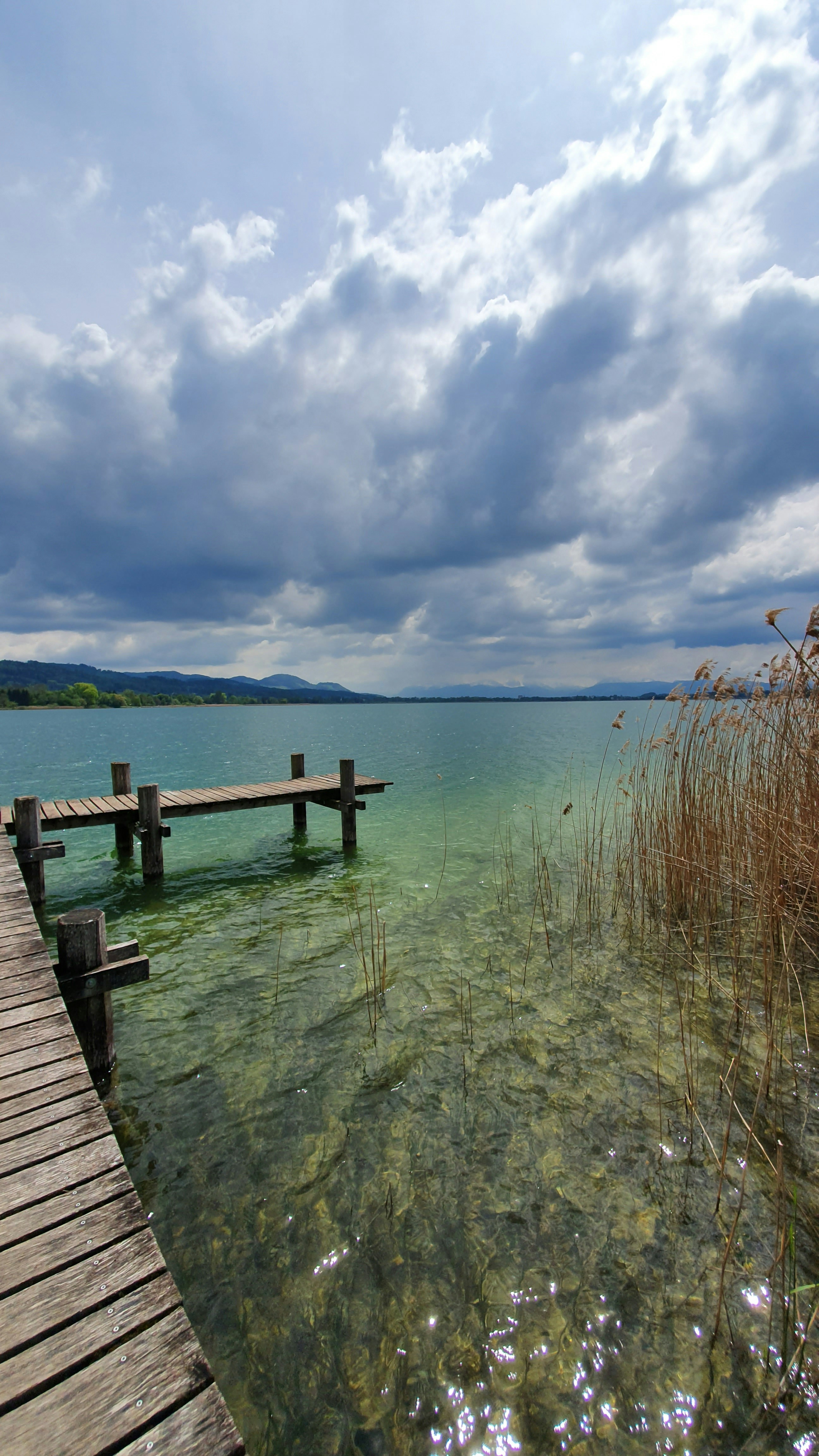 brown wooden dog on sea at daytime