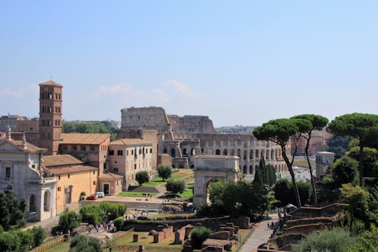 The Colleseum, Italy in Palatine Museum on Palatine Hill Italy