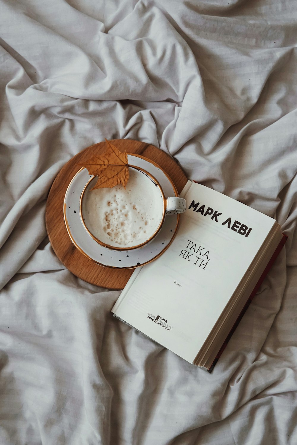 Mapk Aebi book on gray textile